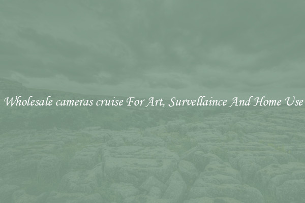 Wholesale cameras cruise For Art, Survellaince And Home Use