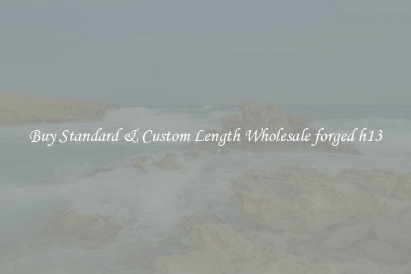 Buy Standard & Custom Length Wholesale forged h13