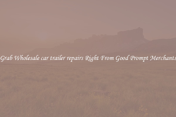 Grab Wholesale car trailer repairs Right From Good Prompt Merchants
