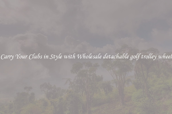 Carry Your Clubs in Style with Wholesale detachable golf trolley wheel
