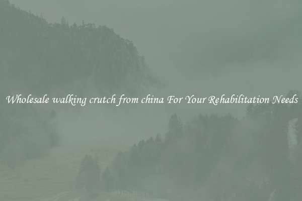 Wholesale walking crutch from china For Your Rehabilitation Needs