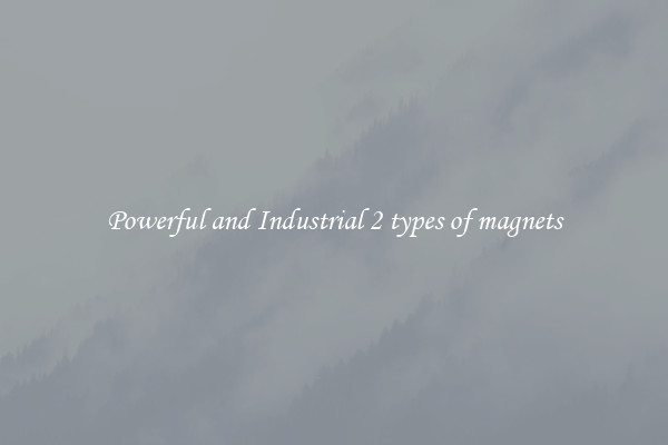 Powerful and Industrial 2 types of magnets