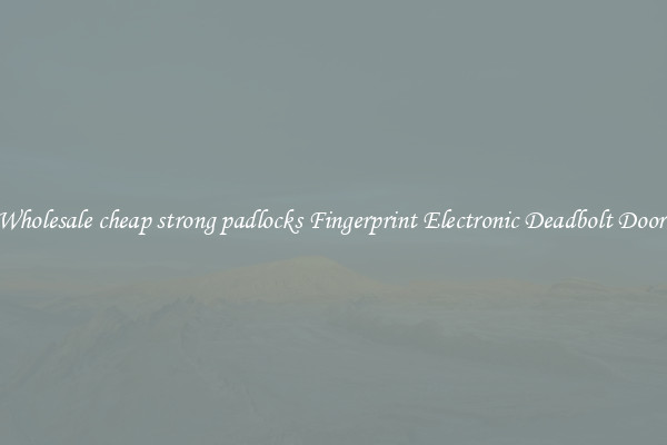Wholesale cheap strong padlocks Fingerprint Electronic Deadbolt Door 