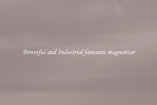 Powerful and Industrial fantastic magnetizer