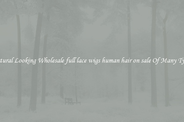 Natural Looking Wholesale full lace wigs human hair on sale Of Many Types