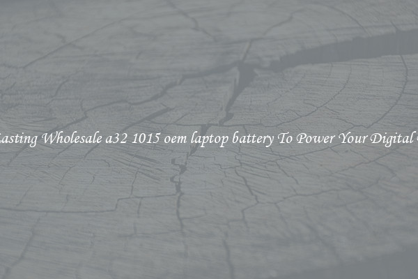 Long Lasting Wholesale a32 1015 oem laptop battery To Power Your Digital Devices