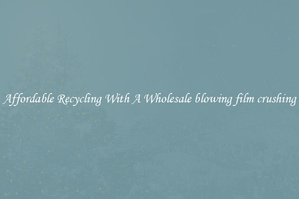 Affordable Recycling With A Wholesale blowing film crushing