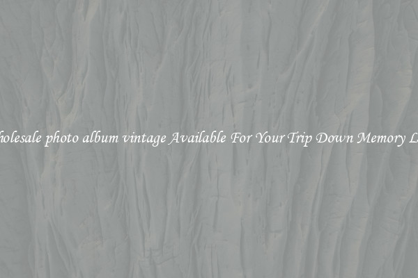 Wholesale photo album vintage Available For Your Trip Down Memory Lane