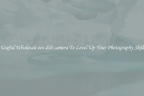 Useful Wholesale eos dslr camera To Level Up Your Photography Skill