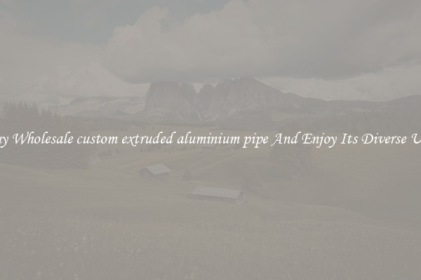 Buy Wholesale custom extruded aluminium pipe And Enjoy Its Diverse Uses