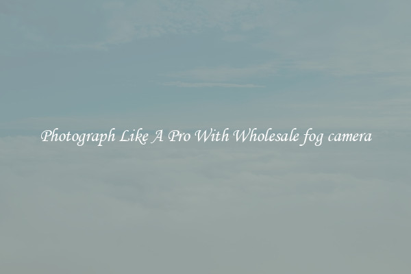 Photograph Like A Pro With Wholesale fog camera