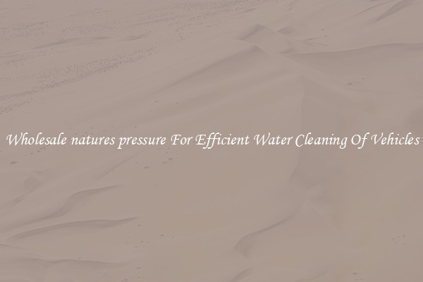 Wholesale natures pressure For Efficient Water Cleaning Of Vehicles