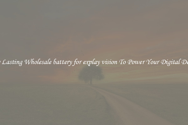 Long Lasting Wholesale battery for explay vision To Power Your Digital Devices