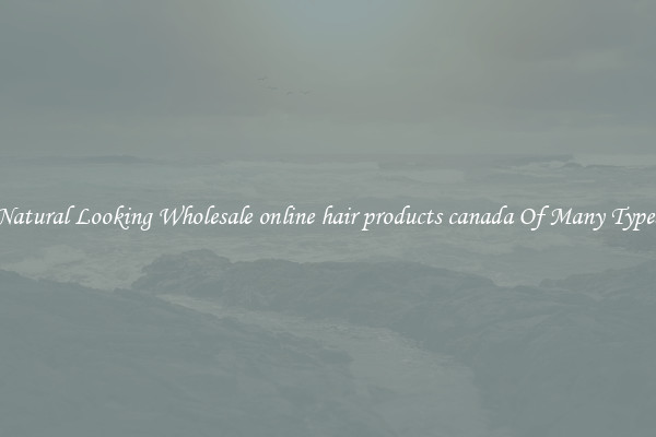 Natural Looking Wholesale online hair products canada Of Many Types