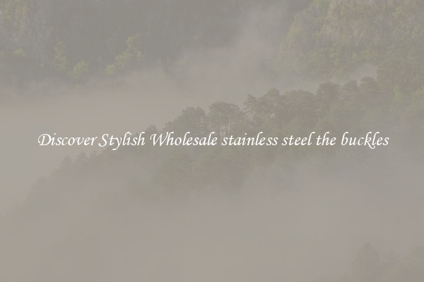 Discover Stylish Wholesale stainless steel the buckles