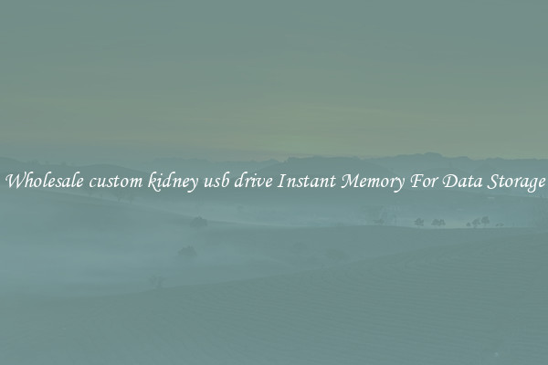 Wholesale custom kidney usb drive Instant Memory For Data Storage