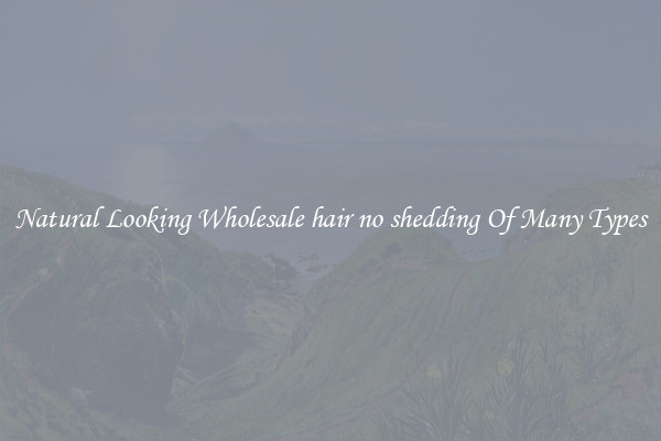 Natural Looking Wholesale hair no shedding Of Many Types