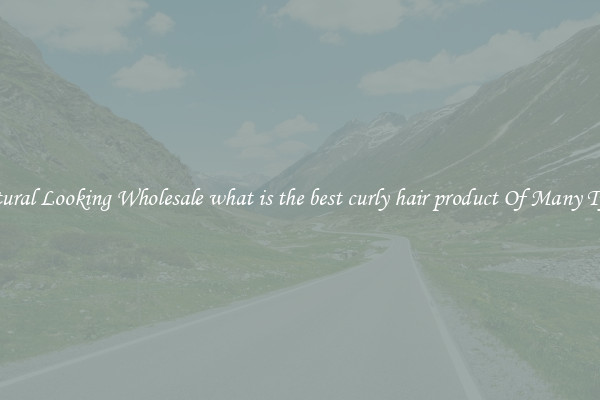 Natural Looking Wholesale what is the best curly hair product Of Many Types