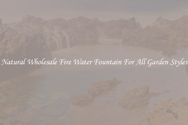 Natural Wholesale Fire Water Fountain For All Garden Styles