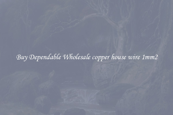 Buy Dependable Wholesale copper house wire 1mm2